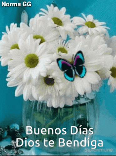 Buenos Dias Dios Te Bendiga Undefined X Undefined Gif GIF