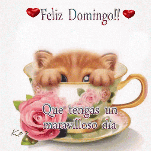 Buenos Dias Domingo GIF