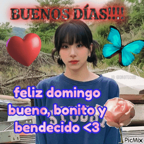Buenos Dias Domingo GIF