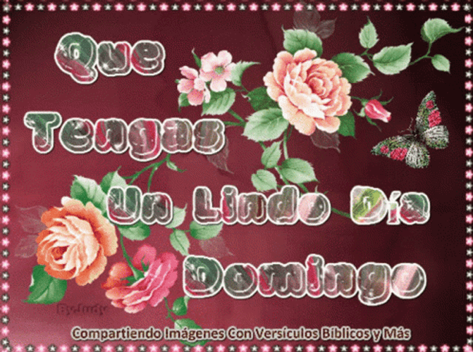 Buenos Dias Domingo GIF