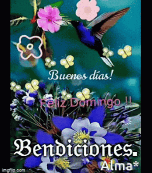 Buenos Dias Domingo GIF