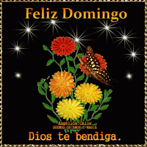 Buenos Dias Domingo GIF