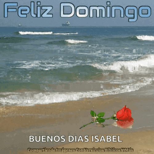 Buenos Dias Domingo GIF