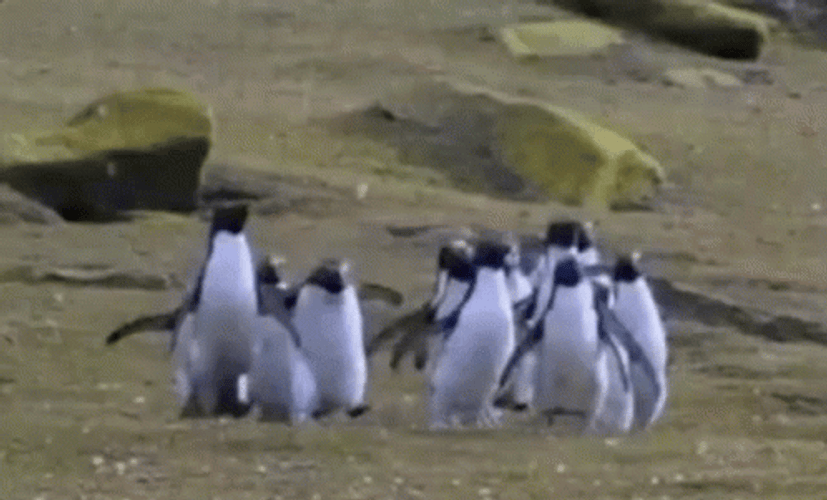 Buenos Dias Familia GIF