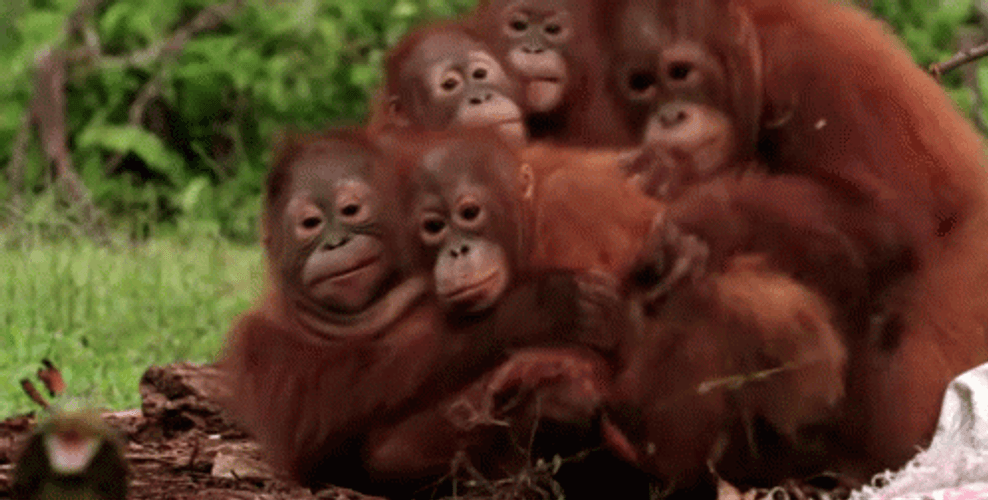 Buenos Dias Familia GIF