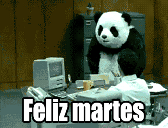 Buenos Dias Feliz Martes Angry Office Panda GIF