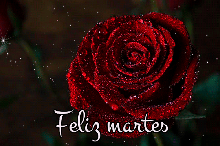 Buenos Dias Feliz Martes Sparkly Red Rose GIF