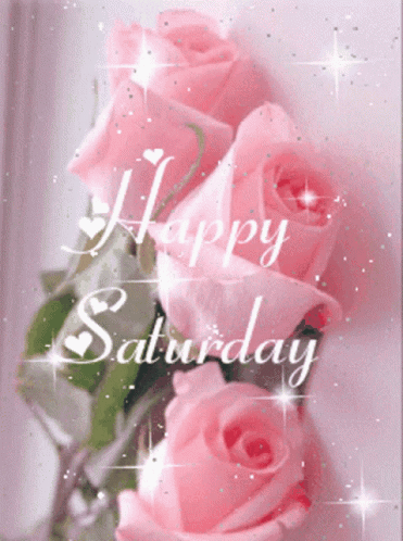 Buenos Dias Feliz Sabado Glistening Pink Roses GIF