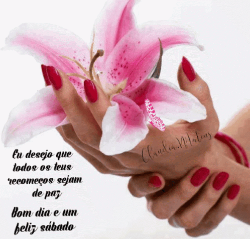Buenos Dias Feliz Sabado Pink Butterfly GIF