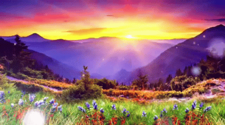 Buenos Dias Flores GIF