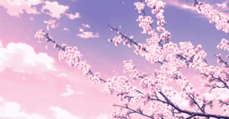Buenos Dias Flores GIF