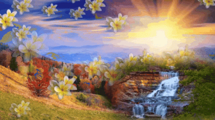Buenos Dias Flores GIF