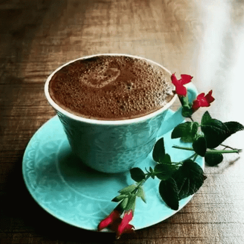 Buenos Dias Flores GIF