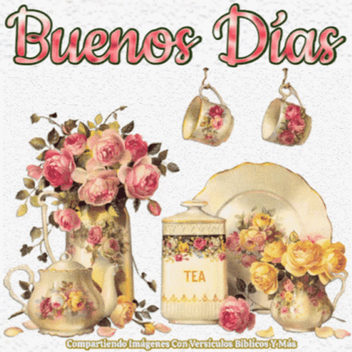 Buenos Dias Flores GIF