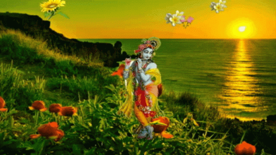 Buenos Dias Flores GIF