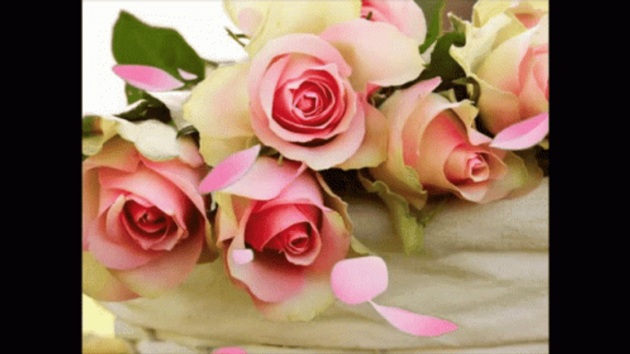 Buenos Dias Flores GIF