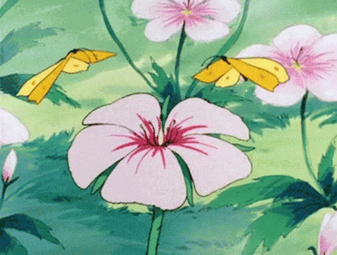 Buenos Dias Flores GIF