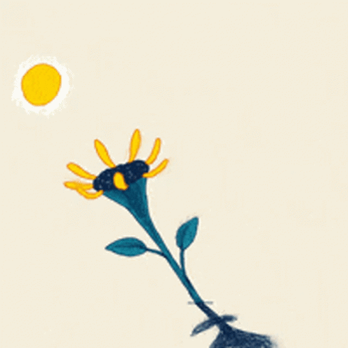 Buenos Dias Flores GIF