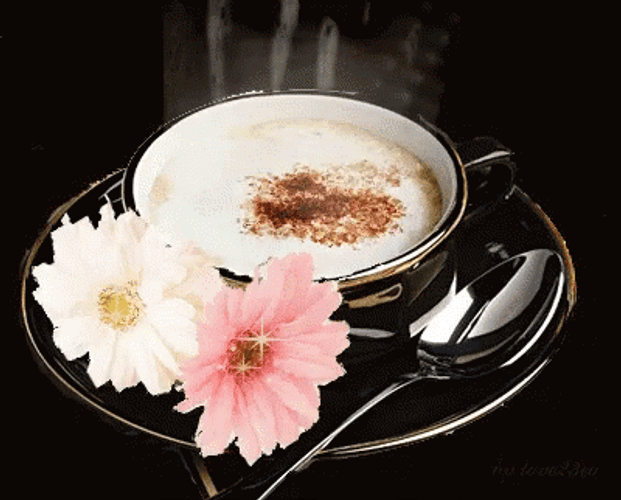 Buenos Dias Flores GIF