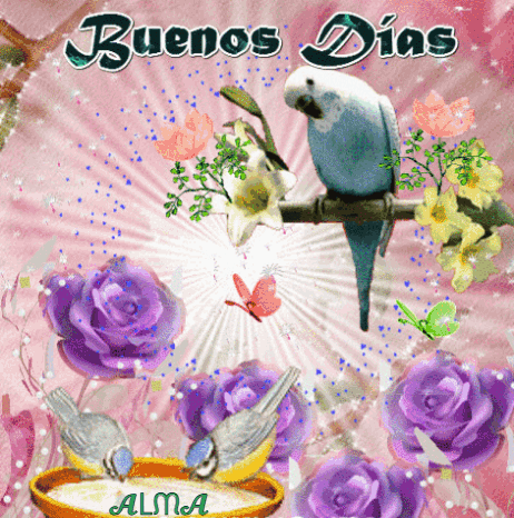 Buenos Dias Greeting Card with Purple Roses and Birds