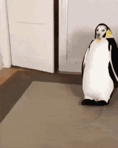 Buenos Dias Halloween GIF
