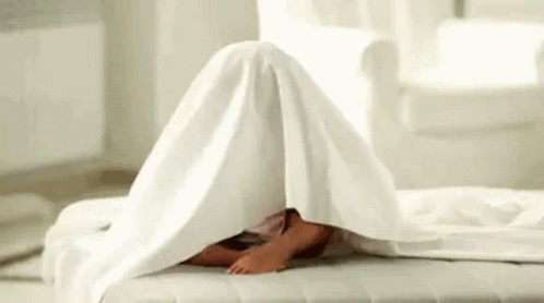 Buenos Dias Hermana 498 X 278 Gif GIF