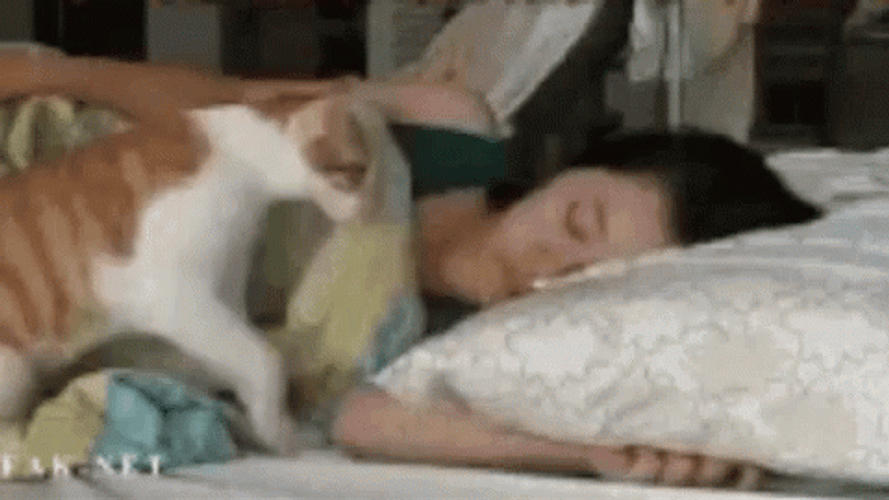 Buenos Dias Hermosa GIF