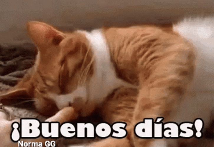Buenos Dias Hija GIF