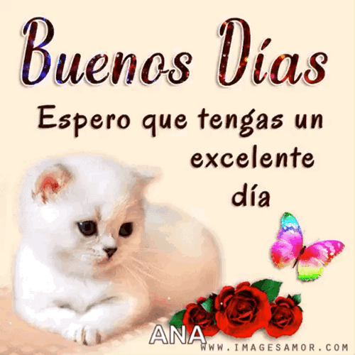 Buenos Dias Jueves GIF