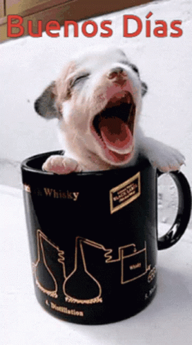 Buenos Dias Lunes 278 X 498 Gif GIF