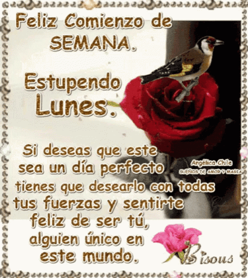 Buenos Dias Lunes GIF