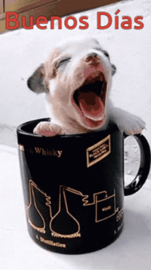 Buenos Dias Lunes GIF
