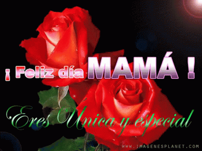 Buenos Dias Mama GIF