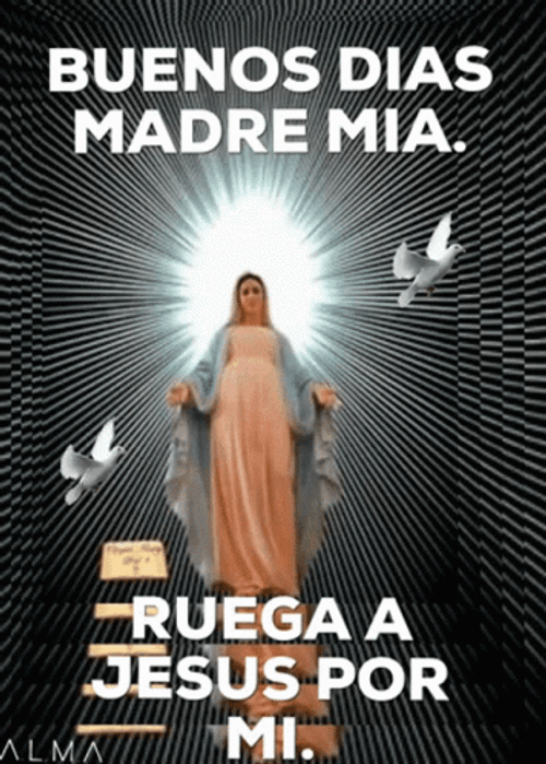 Buenos Dias Mama GIF