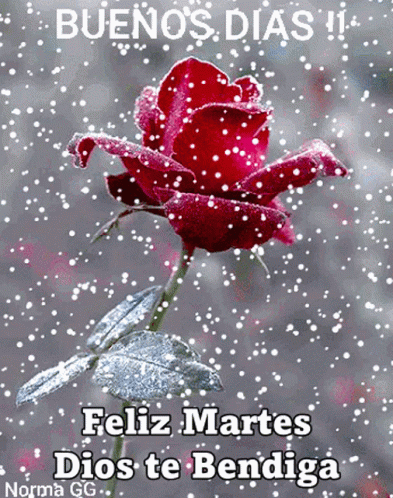 Buenos Dias Martes 393 X 498 Gif GIF