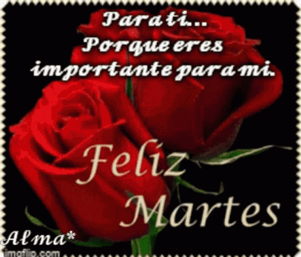 Buenos Dias Martes GIF