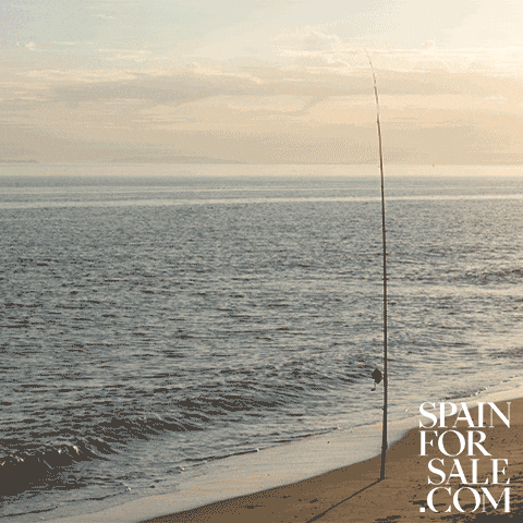 Buenos Dias Miercoles 480 X 480 Gif GIF