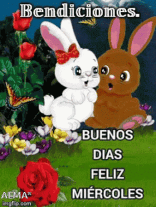 Buenos Dias Miercoles GIF