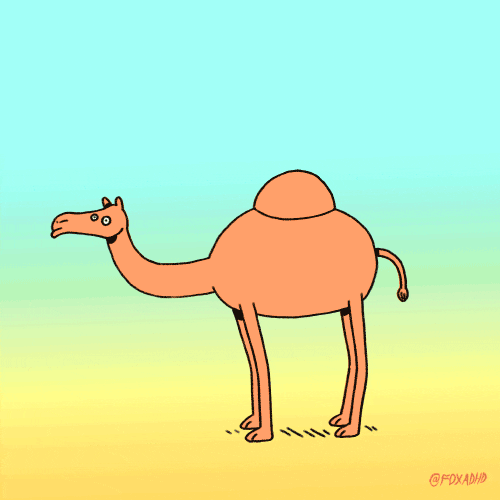 Buenos Dias Miercoles GIF