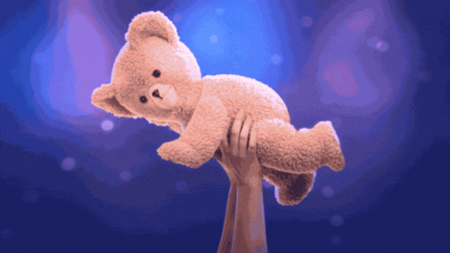 Buenos Dias Osito GIF