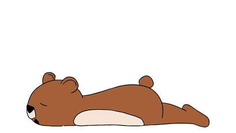 Buenos Dias Osito 480 X 270 Gif GIF