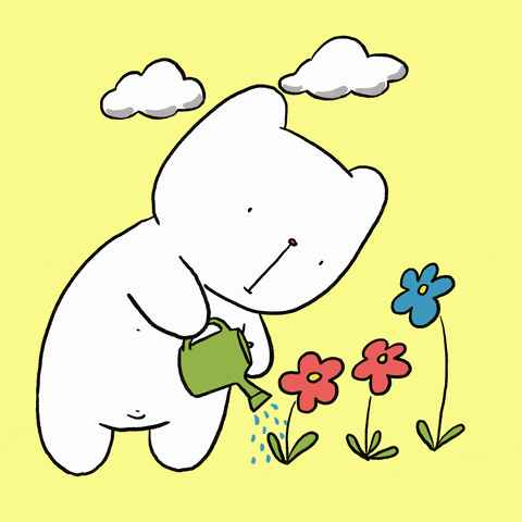 Buenos Dias Osito 480 X 480 Gif GIF