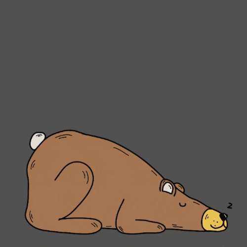Buenos Dias Osito GIF