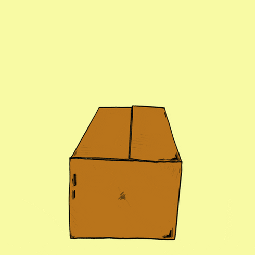 Buenos Dias Osito GIF