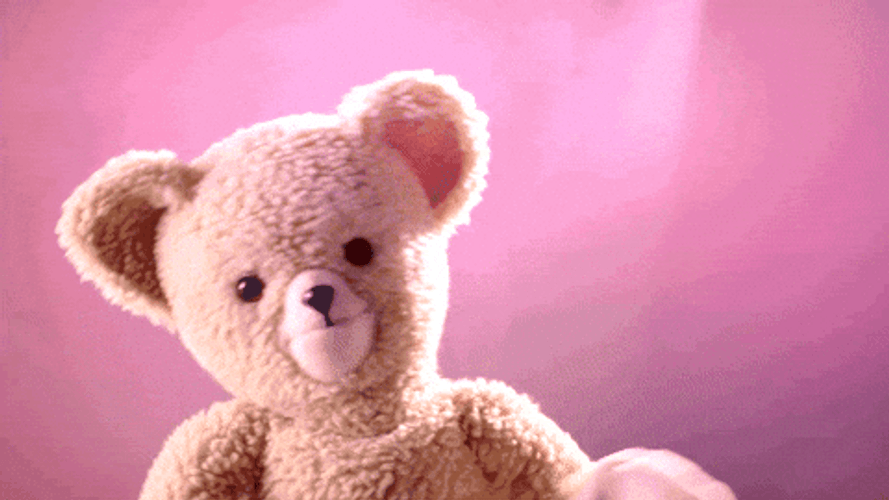 Buenos Dias Osito GIF