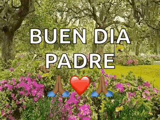 Buenos Dias Papa 320 X 240 Gif GIF