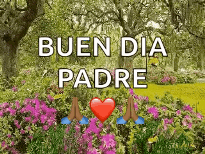 Buenos Dias Papa GIF