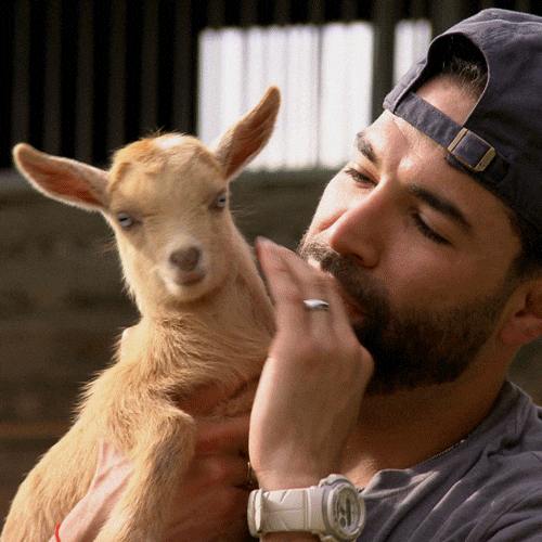 Buenos Dias Papa GIF