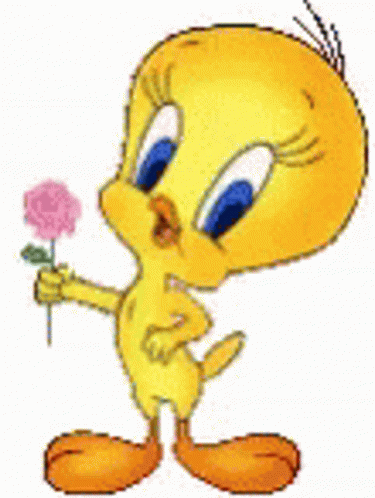 Buenos Dias Piolin 375 X 498 Gif GIF