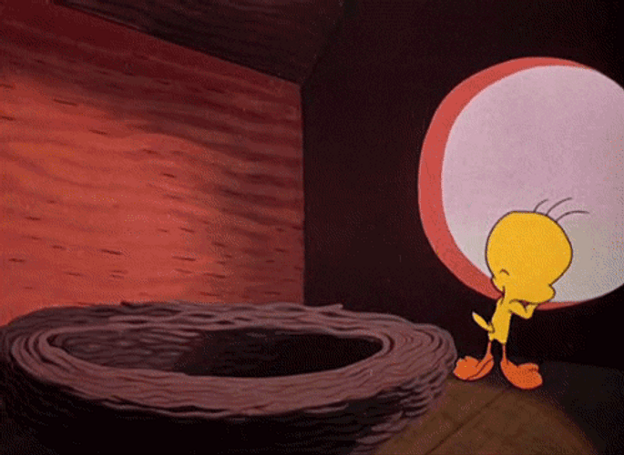 Buenos Dias Piolin GIF